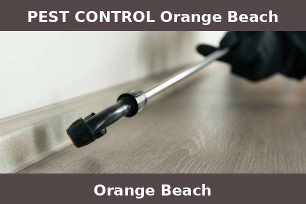 PEST CONTROL Orange Beach